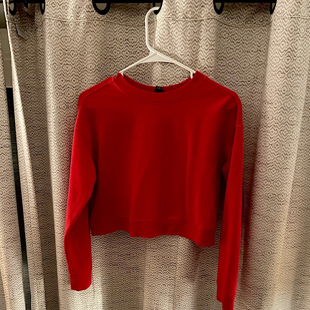 Wild fable sweater [cropped]